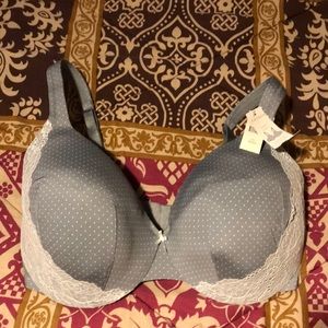 Cacique Gray/ Blue 38 DDD Bra w/White Lace